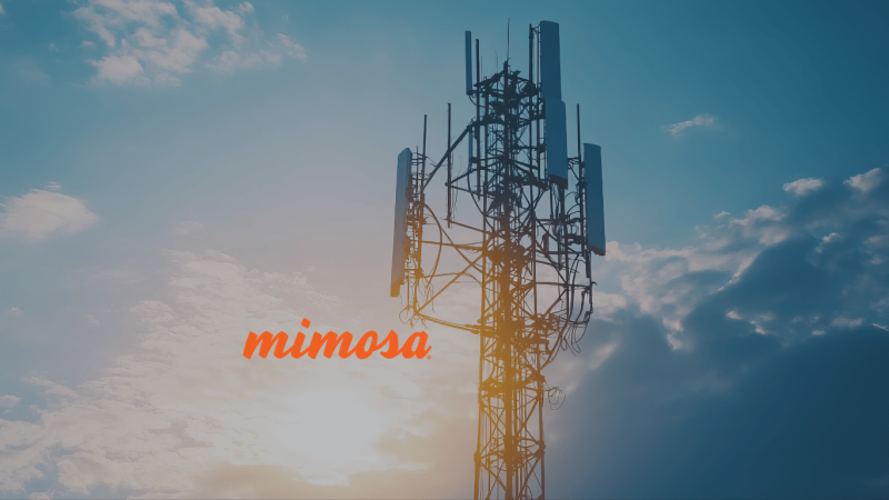 Mimosa Momentum Release